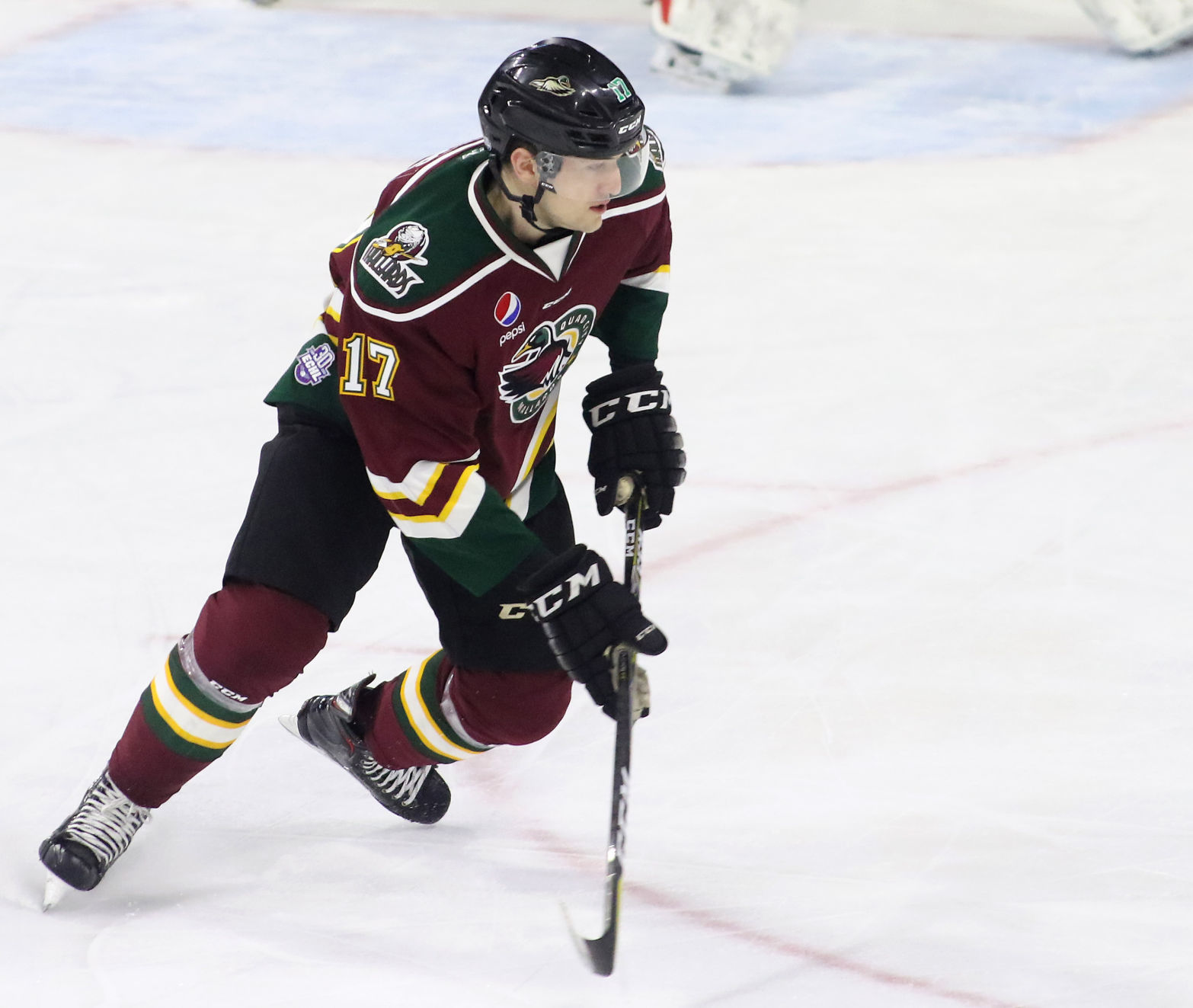 021818-Mallards-Toledo-016